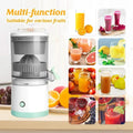 Portable Electric Citrus Juicer with USB - Canis couture